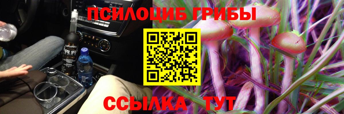 Жигулёвск  Псилоцибиновые грибы Psilocybine cubensis  Вход с VPN 
